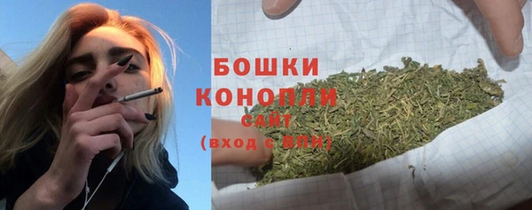 трава Богданович
