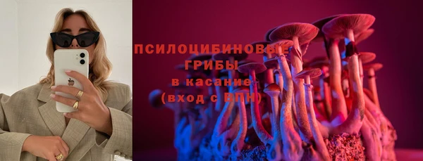 гашик Богородицк