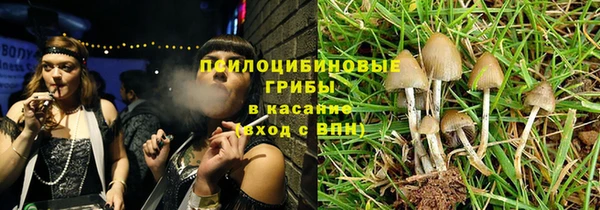 гашик Богородицк