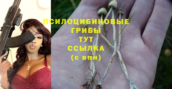 гашик Богородицк