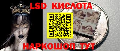 ПСИЛОЦИБИНОВЫЕ ГРИБЫ Кандалакша