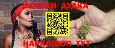 ПСИЛОЦИБИНОВЫЕ ГРИБЫ Кандалакша