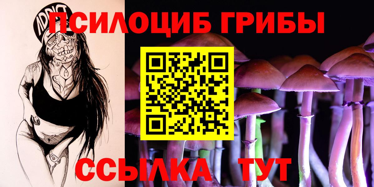Псилоцибиновые грибы ЛСД  купить наркотики цена  Надым  Вход с VPN 