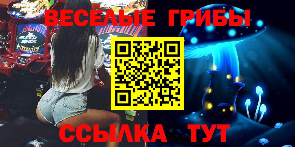 Псилоцибиновые грибы GOLDEN TEACHER Надым